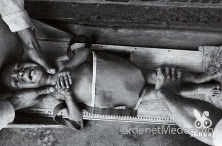 Жеймс Нахтвейгийн дэлхийг цочирдуулсан гэрэл зургууд