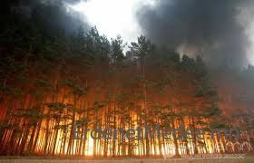 Таван газарт ойн түймэр асч байна