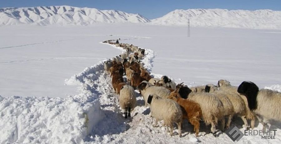 Сибирийн хүйтэн агаарын нөлөөгөөр энэ жил баруун аймгуудад илүү хүйтрэх төлөвтэй байна